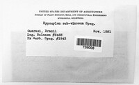 Image of Hypoxylon lenormandii